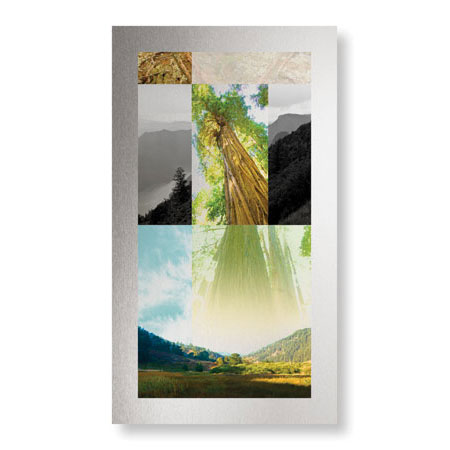 Peter Kitchell Limited Edition Ready to Hang Giclee on Brushed Aluminum: "Sanctuaries Shadow Life"