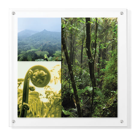 Peter Kitchell Limited Edition Ready to Hang Giclee on Clear Acrylic: "Rain Dam"