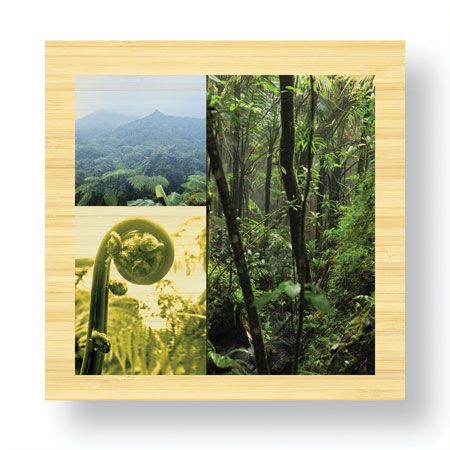 Peter Kitchell Limited Edition Ready to Hang Giclee on Sustainable Bamboo: "Rain Dam"