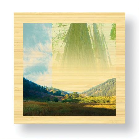 Peter Kitchell Limited Edition Ready to Hang Giclee on Sustainable Bamboo: "Rivers Edge"