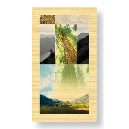 Peter Kitchell Limited Edition Ready to Hang Giclee on Sustainable Bamboo: "Sanctuaries Shadow Life"