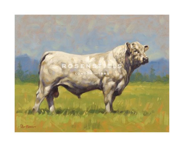 Peter Munro Hand Numbered Limited Edition Print on Paper :"Charolais Bull"
