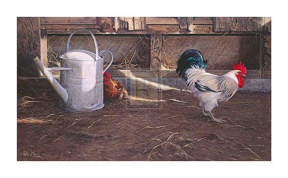 Peter Munro Hand Numbered Limited Edition Print on Paper :"Rooster And Watering Can"