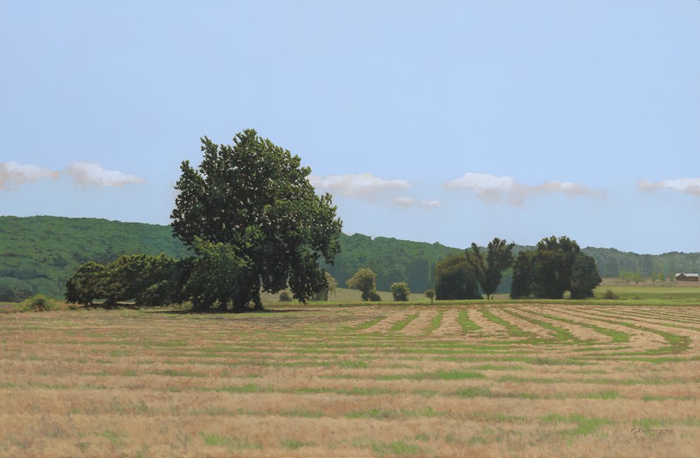 Peter Sculthorpe Hand Signed and Numbered Limited Edition Giclee on Etching Paper:" Wind Rows "