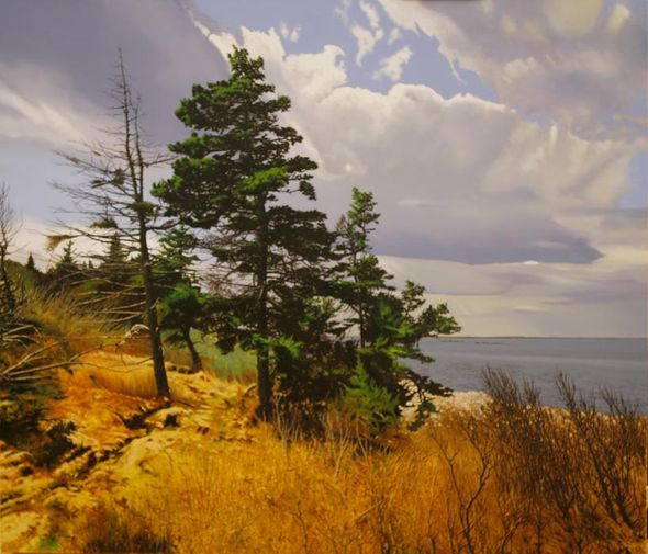 Peter Sculthorpe Hand Signed and Numbered Limted Edition Giclee on Etching Paper:"Seal Ledges"