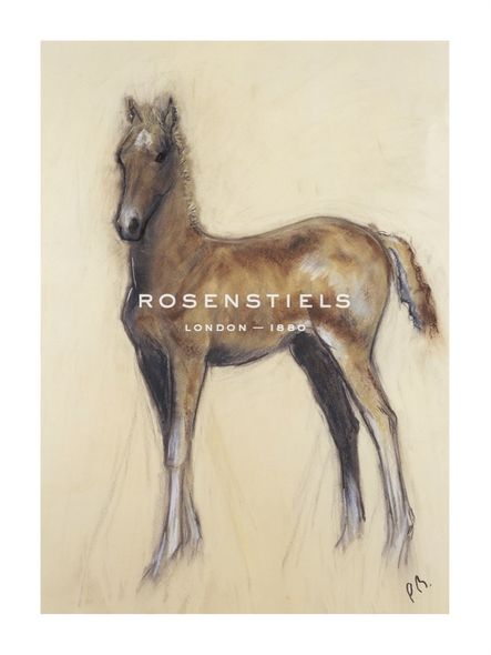 Philip Blacker Hand Numbered Limited Edition Print on Paper :"The Foal"