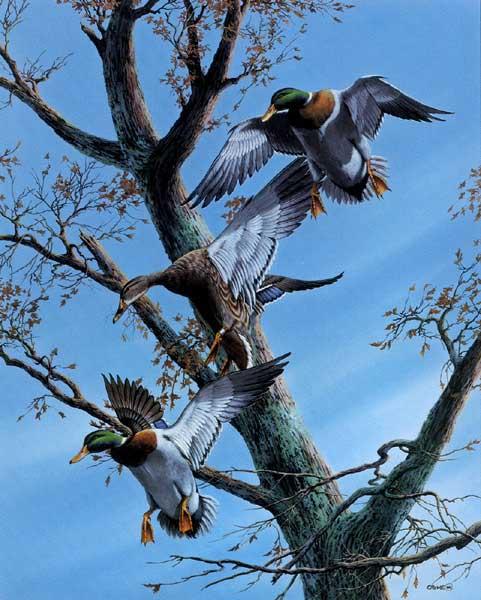 Phillip Crowe Limited Edition Paper Print : " Greenwood Traffic Jam "