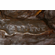 Pierre-Jules Mene Handcrafted Solid Bronze Sculpture:"The Stag"