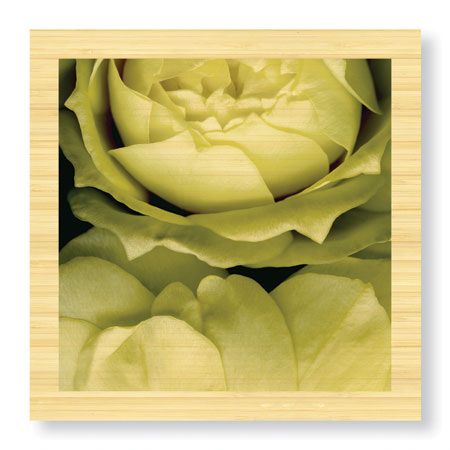 Pip Bloomfield Limited Edition Ready to Hang Giclee on Sustainable Bamboo: "Buzzys Roses"