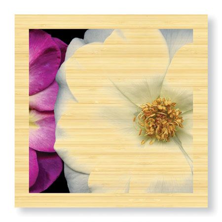 Pip Bloomfield Limited Edition Ready to Hang Giclee on Sustainable Bamboo: "Garden Roses"