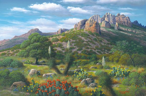 R.W. Hedge Limited Edition Museum Quality Canvas Gicl&eacute;e: "Cactus Garden"