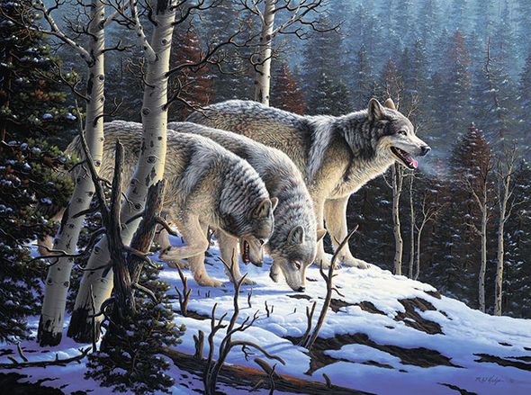 R.W. Hedge Limited Edition Museum Quality Canvas Gicl&eacute;e: "First Hunt"