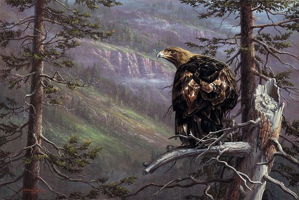 R.W. Hedge Limited Edition Museum Quality Canvas Gicl&eacute;e: "Private Eye"