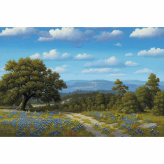 Gallerydirectart