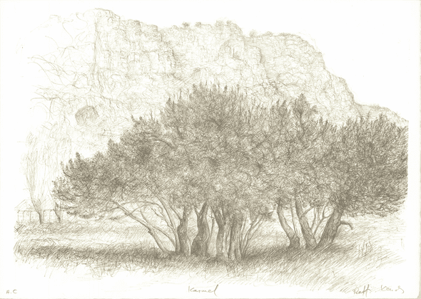 Raffi Kaiser Rare Vintage Artist Signed Lithograph: "Land of the Trees near Rock Mountain"