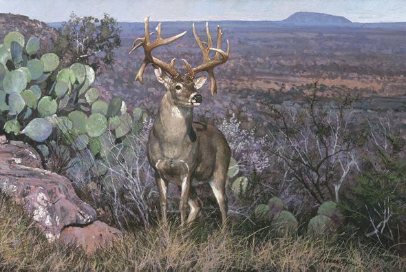 Ragan Gennusa Hand Signed and Numbered Limited Edition Canvas Giclee:"The Trophy"