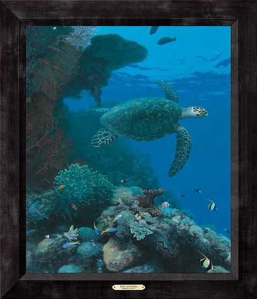 Randall Scott Framed Limited Edition Canvas: "Reef Sentinel-Sea Turtle"