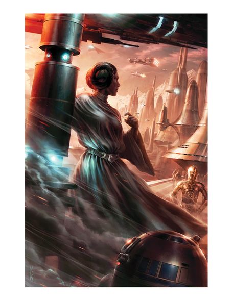 Raymond Swanland Limited Edition Star Wars Canvas Giclee:"Last Look Back"