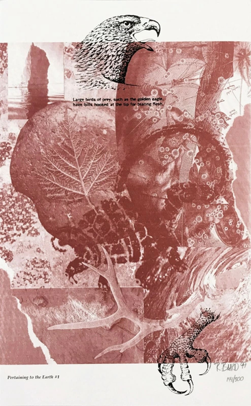 Rebecca Baird Hand Signed Limited Edition Lithograph Print : "PERTAINING TO THE EARTH #1"