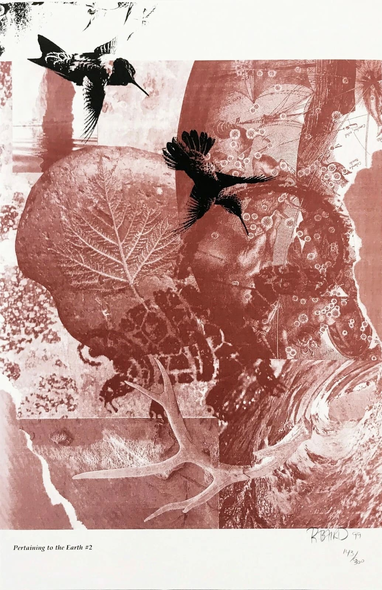 Rebecca Baird Hand Signed Limited Edition Lithograph Print : "PERTAINING TO THE EARTH #2"