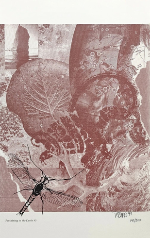 Rebecca Baird Hand Signed Limited Edition Lithograph Print : "PERTAINING TO THE EARTH #3" Rebecca Baird Hand Signed Limited Edition Lithograph Print : "PERTAINING TO THE EARTH #3"