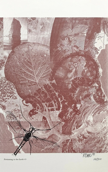 Rebecca Baird Hand Signed Limited Edition Lithograph Print : "PERTAINING TO THE EARTH #3"
