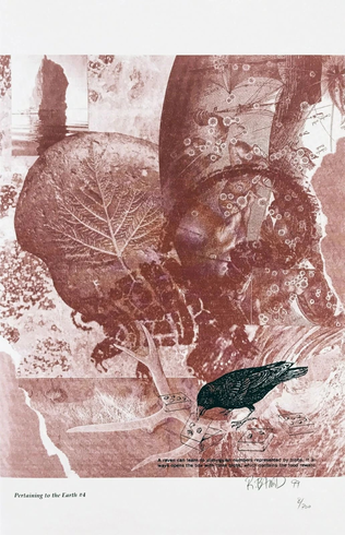 Rebecca Baird Hand Signed Limited Edition Lithograph Print : "PERTAINING TO THE EARTH #4"