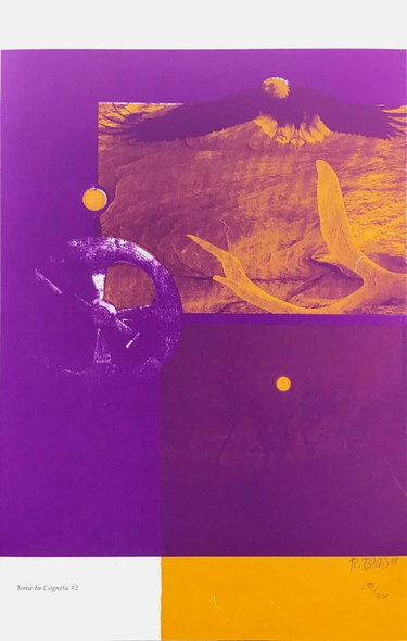 Rebecca Baird Hand Signed Limited Edition Lithograph Print : "TERRA IN COGNITA #2"