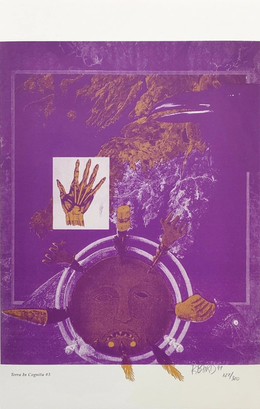 Rebecca Baird Hand Signed Limited Edition Lithograph Print : "TERRA IN COGNITA #3"