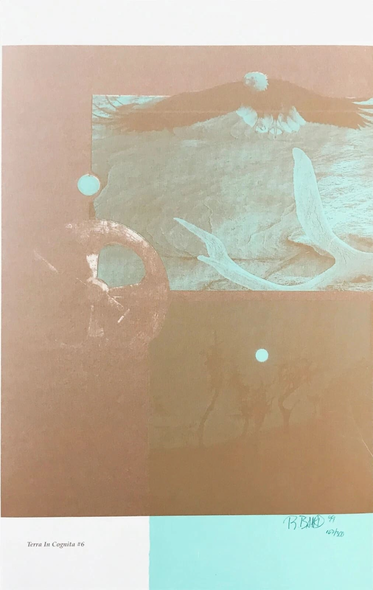 Rebecca Baird Hand Signed Limited Edition Lithograph Print : "TERRA IN COGNITA #6"