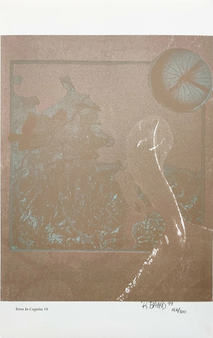 Rebecca Baird Hand Signed Limited Edition Lithograph Print : "TERRA IN COGNITA #8" Rebecca Baird Hand Signed Limited Edition Lithograph Print : "TERRA IN COGNITA #8"