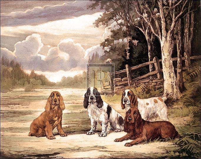 Reuben Ward Binks Artist Hand Colored Copper Plate Printed Atelier Print:"Cocker Society I"