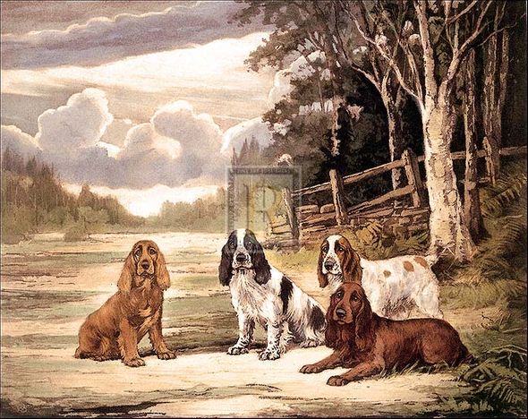 Reuben Ward Binks Artist Hand Colored Copper Plate Printed Atelier Print:"Cocker Society I"