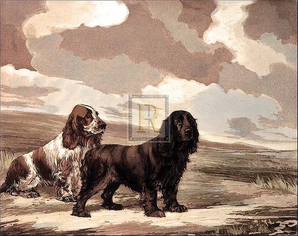 Reuben Ward Binks Artist Hand Colored Copper Plate Printed Atelier Print:"Cockers"