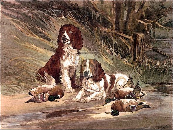 Reuben Ward Binks Artist Hand Colored Copper Plate Printed Atelier Print:"Duck Today-Tomorrow?"