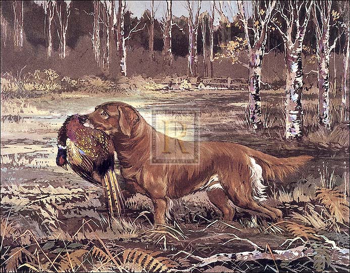 Reuben Ward Binks Artist Hand Colored Copper Plate Printed Atelier Print:"Golden Retriever"