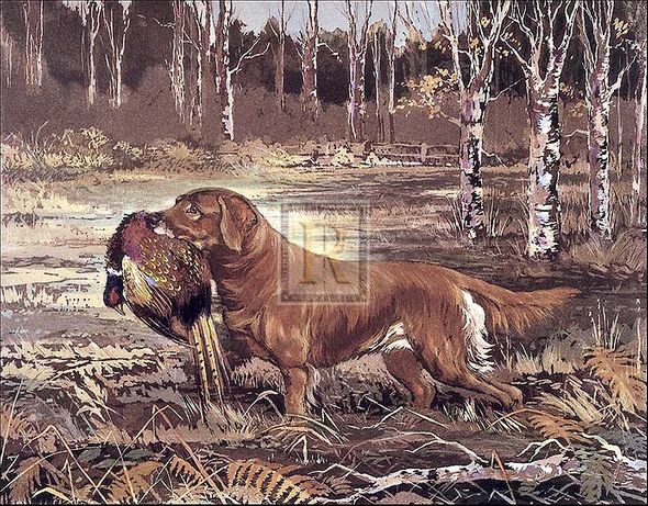 Reuben Ward Binks Artist Hand Colored Copper Plate Printed Atelier Print:"Golden Retriever"