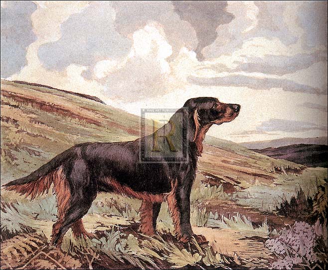 Reuben Ward Binks Artist Hand Colored Copper Plate Printed Atelier Print:"Gordon Setter"