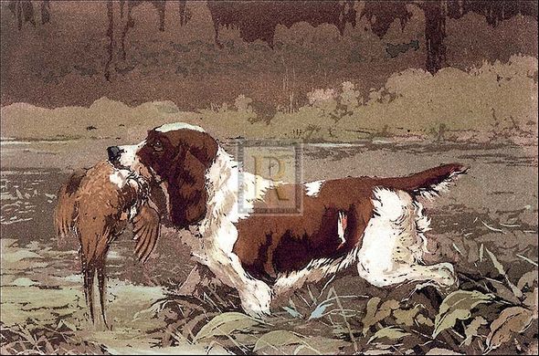 Reuben Ward Binks Artist Hand Colored Copper Plate Printed Atelier Print:"Springer and Pheasant"