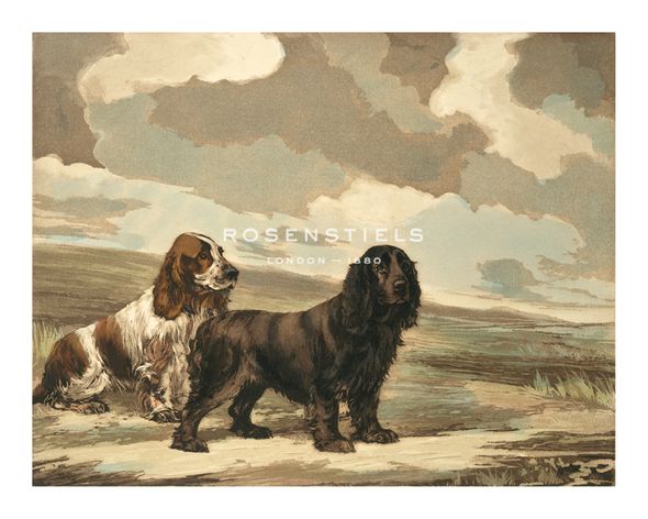 Reuben Ward Binks Hand Numbered Limited Edition Print on Paper :"Cockers"