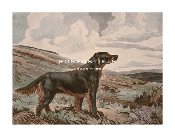 Reuben Ward Binks Hand Numbered Limited Edition Print on Paper :"Gordon Setter"