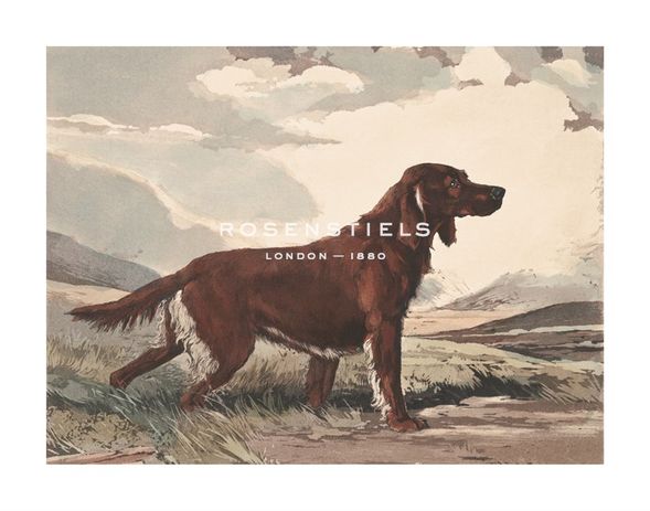 Reuben Ward Binks Hand Numbered Limited Edition Print on Paper :"Irish Setter"