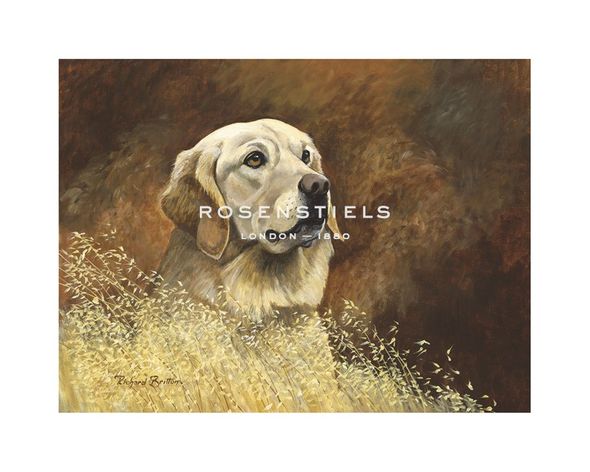 Richard Britton Hand Numbered Limited Edition Print on Paper :"Golden Retriever"