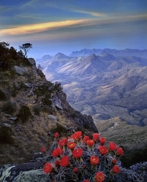 Richard Reynolds 60 x 48 Open Edition Signed Giclee on Canvas:"Big Bend"