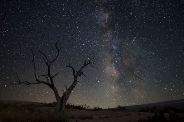 Rob Greebon 30 x 45 Open Edition Giclee on Canvas:"Enchanted Rock State Park - The Milky Way on a Summer Night"