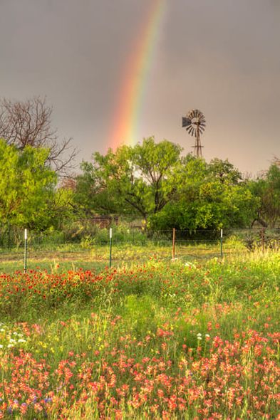 Rob Greebon 72 x 48 Open Edition Giclee on Canvas:"Texas Wildflowers, a Windmill, and a Rainbow"