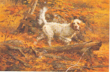 ROBERT ABBETT Secondary Market Art: "BIG GUY SETTER & GROUS" - ABBETT ...