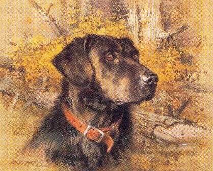 ROBERT ABBETT  Secondary Market Art: "CODY BLACK LAB"