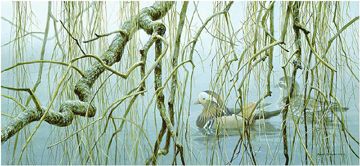 ROBERT BATEMAN 10X22 Secondary Market Art: "OLD WILLOW MANDARIN"
