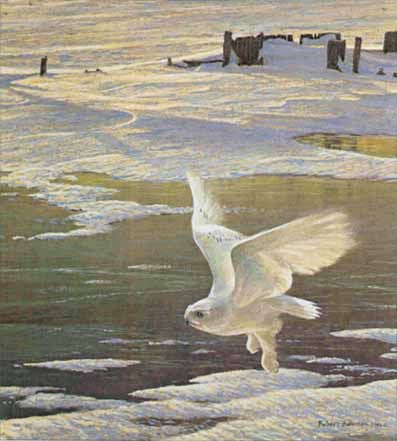 ROBERT BATEMAN 11X12 Secondary Market Art: "WINGED SPIRIT OWL"